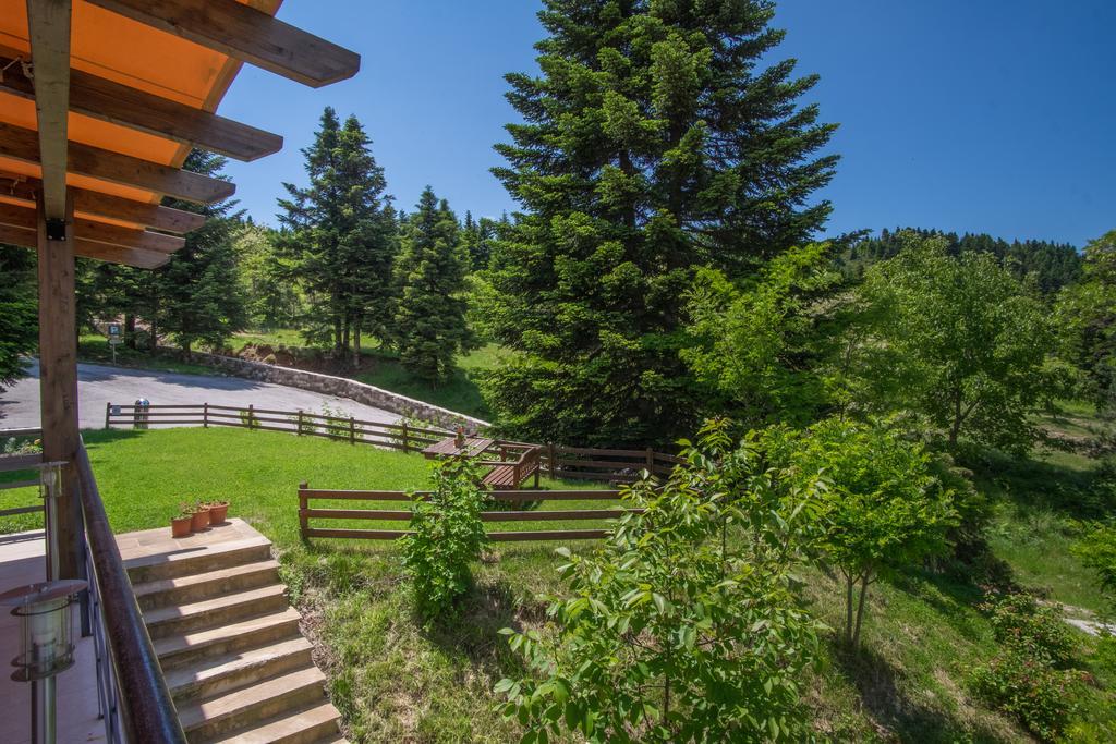 Orizontes Tzoumerkon Hotel Resort Pramanta Zewnętrze zdjęcie