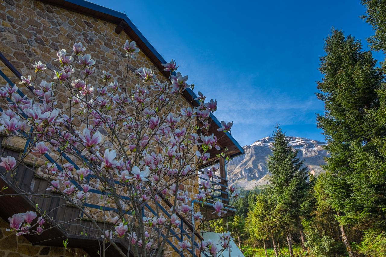 Orizontes Tzoumerkon Hotel Resort Pramanta Zewnętrze zdjęcie