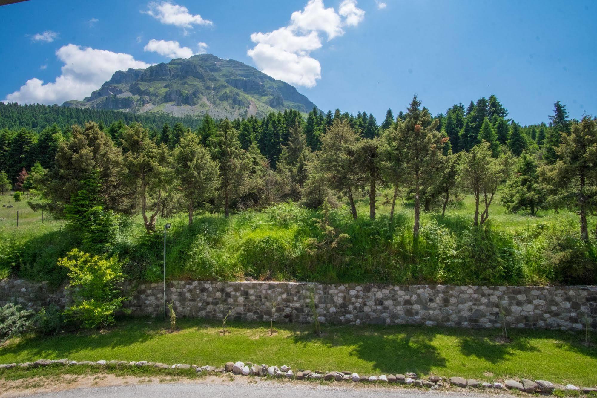 Orizontes Tzoumerkon Hotel Resort Pramanta Zewnętrze zdjęcie